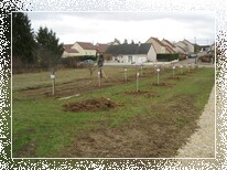 Taille au verger des enfants de Maligny