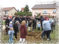 Taille au verger des enfants de Maligny