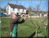 Taille au verger des enfants de Maligny